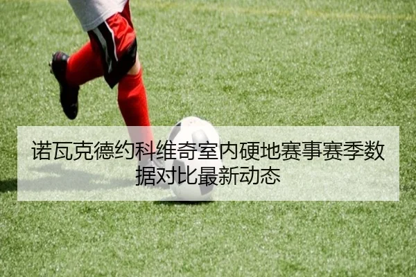 诺瓦克德约科维奇室内硬地赛事赛季数据对比最新动态（360app）